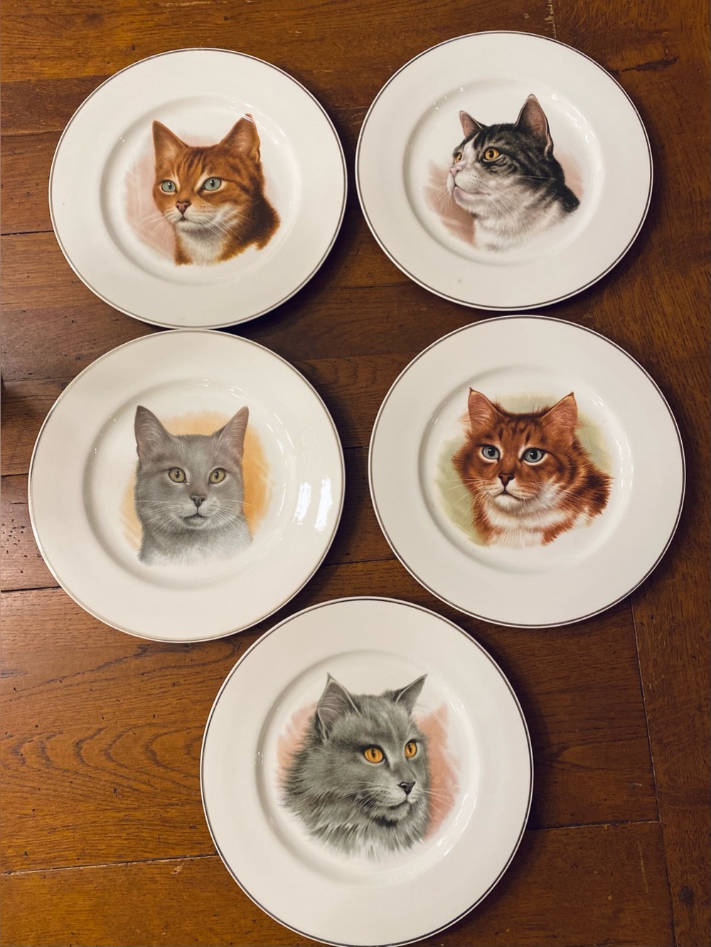 Vintage Cat Portrait Collector Plates Gold Trim - Set of 5